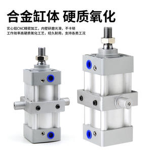 Double Action SI <b>Cylinder</b> with Center Swing 32/40/50/63/80/100/125-TC Bracket Used Pneumatic Piston <b>Cylinder</b> - Product Image 4