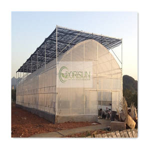 Hydroponique Vertical Température Constante Clone Conteneur De Champignons En Plastique Nouvelles Petites Serres Agricoles À Vendre - Product Image 1