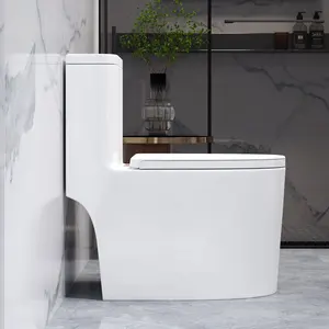 バスルームスーパーボルテックスリムレスフラッシュワンピーストイレバスルームサイフォニックトイレWc衛生陶器