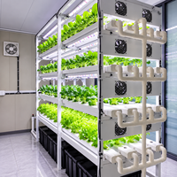 Système hydroponique de jardin intelligent d'intérieur avec réservoir d'eau et lampes de culture LED dédiées pour légumes, fruits et fleurs
