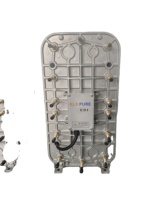 Module EDI 100L/H pour système d'usine de purificateur d'eau série EDI pour l'industrie