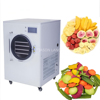 8Kg 10Kg Plantaardige Kleine Mini Vriesdroger Zwart Medium 4 Trays Vacuüm Vriesdroogmachine