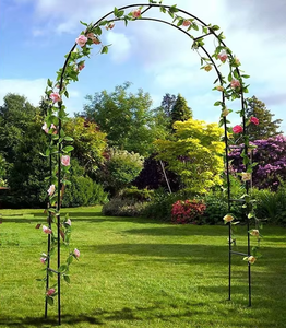 Arche de jardin en <span class=keywords><strong>fer</strong></span> forgé pour plantes grimpantes, fleurs et vignes, support décoratif pour jardin, support de pot de fleurs, pour mariages et fêtes, collection automne - Product Image 5