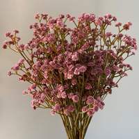 Bunga Gypsophila Putih Coklat Grosir, Real Touch Baby's Breath untuk Dekorasi Pesta Pernikahan, Hari Valentine, Thanksgiving