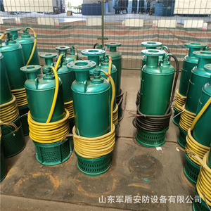 ปั๊มจุ่มใต้น้ำ Bqs800-90-315 Nkw ทำจากเหล็กหล่อ ป้องกันการระเบิด สำหรับระบายน้ำ ใช้ในงานเหมือง - Product Image 3