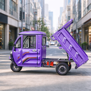 Mehrzweck-Transportdreirad für Friedhofsreinigung mit Geländetauglichkeit und Differentialantriebsachse, EWG-Zulassung - Product Image 6