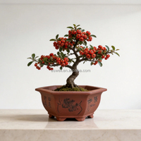 Pots à Bonsaï Hexagonaux Chinois Respirants, Pots Décoratifs pour Plantes, pour Aménagement Paysager, pour Patio ou Affichage Intérieur