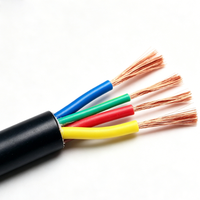 Cable Eléctrico Industrial de Alta Calidad RVV con Núcleo de Cobre Trenzado, Flexible, de Bajo Voltaje 300/500V, con Revestimiento de PVC para Uso Doméstico
