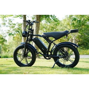 Bicicleta de Montaña Eu V8 Fatbike Mini con Envío Gratuito para Adultos, Precio de Fábrica R002, Bicicletas Eléctricas, Ciclismo Eléctrico para Adultos R002 Ra - Product Image 5