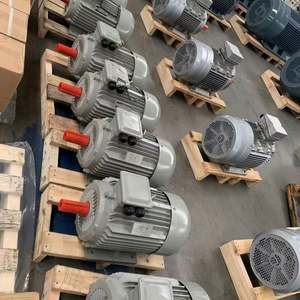 Moteur électrique asynchrone triphasé AC 50Hz IE4 Efficacité IP55 de haute qualité 380V/220V 4kw 5.5hp YE4-132M1-6 - Product Image 6