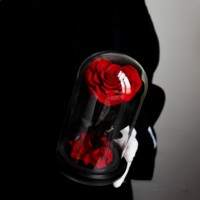 BH Eternal Rose Bunga Mawar Abadi Mawar Abadi dalam Kubah Kaca Mawar Abadi dalam Kubah Kaca