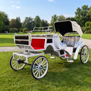 Carrozas Europeas Turísticas con Caballos, Transporte Especial para Visitas Turísticas - Product Image 1