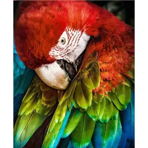 Good Price Huacan 5d Diamond Art Painting Kits Bird Wholesale Diamond Mosaic Full Animal Parrot Modern Fashion