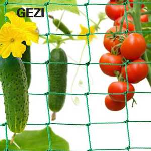 Vine Cucumber gie salatalık domates tırmanma bitki desteği tarım bahçe ÇARKIFELEK MEYVESİ Anti kuşlar için çadır kafes <span class=keywords><strong>Net</strong></span> büyümek - Product Image 6