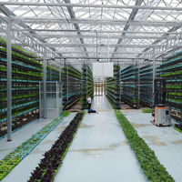 Serre en verre Venlo à haut rendement pour la culture de tomates, 50 tonnes par 1000 m², système complet