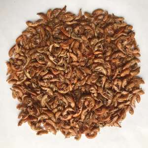 <span class=keywords><strong>Gammarus</strong></span> séchées de g, pour poisson et <span class=keywords><strong>tortue</strong></span>, crevettes séchées - Product Image 5