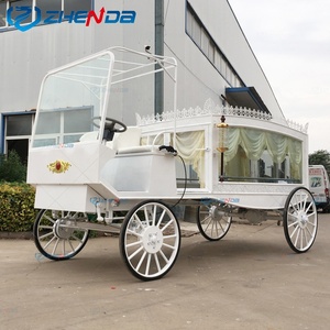 Carroza Fúnebre Eléctrica Zhenda con Caballos de Henan y Otras Potencias - Product Image 4