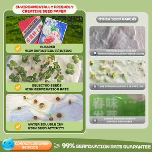 Noel tohum kağıt özelleştirilmiş nimet kağıt kartı hediye kartı filizlenme kart piyango kartı çevre malzeme düğün için - Product Image 5