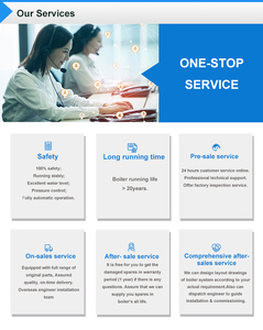 Cao Ngang Loại Wns Bắn Dầu/Khí Đốt Tự Nhiên Hơi Nước Nồi Hơi Tiết Kiệm Năng Lượng Lửa Ống Cho Các Nhà Máy Sản Xuất - Product Image 5