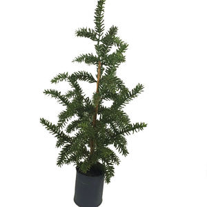 Arbre artificiel <span class=keywords><strong>de</strong></span> cyprès d'extérieur personnalisé pour la maison - Product Image 3