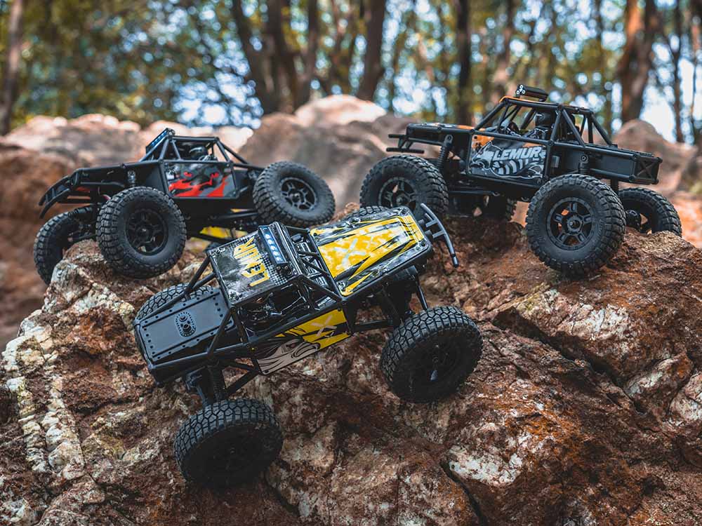NEW FMS 1/24 Mini RC Monster Truck - Rock Crawler FCX24 Lemur