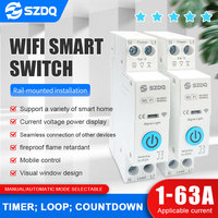 Mini Disjoncteur Intelligent WiFi pour Maison Connectée, Compteur d'Énergie et de KWh 0-63A avec Relais Temporisé