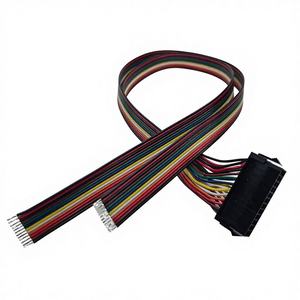 Konektor Betina SHANWEI 500mm MX3.0 24-Sirkuit 2x12 Pin Tembaga Berlapis Timah Isolasi PVC untuk Peralatan Rumah Tangga, Mesin, dan Komputer - Product Image 1