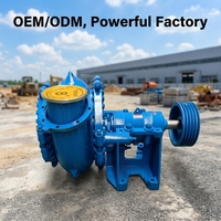 Pompe à boue industrielle haute pression à moteur CC monophasé, en alliage de chrome, pour dragage de gravier, OEM, aspiration résistante à l'usure 100 mm