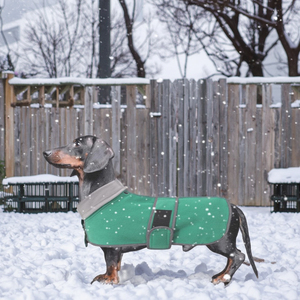 Whole Sale New <strong>Dog</strong> Products Perro Salchicha Dachshund Dackel <strong>Sausage</strong> Polar Clothes Perfect Padded Fleece <strong>Dog</strong> Winter <strong>Coat</strong> - Product Image 1