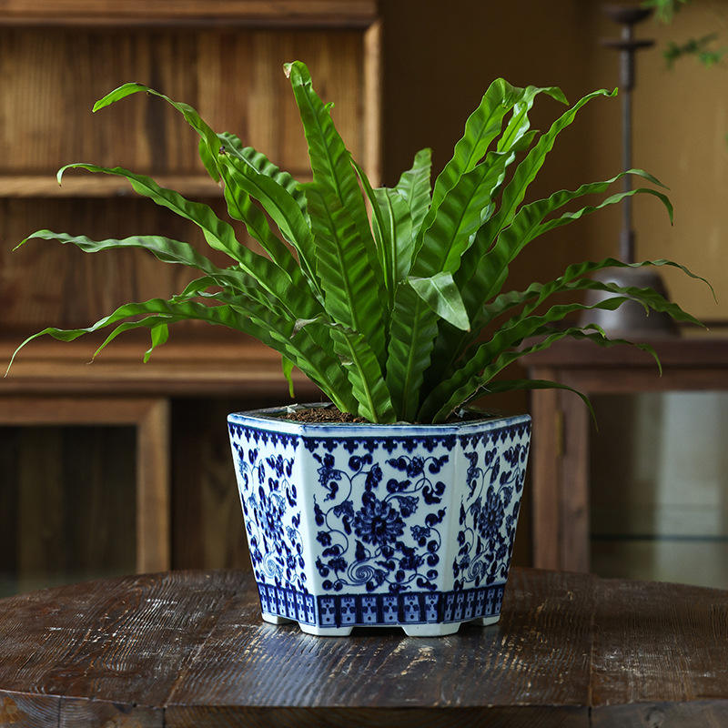 Bleu et Blanc H17cm * P22cm Lotus