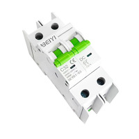 Interruptores de Circuito de CC de 600 V, 1000 V, 32 A, 63 A, 2P, 3 kA, 10 kA, Miniatura, para Sistemas de Energía Solar, Fábrica BEIYI