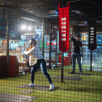 Simulateur de baseball personnalisé Suneye pour adultes, simulateur sportif en gros pour aire de jeux intérieure, parc d'attractions