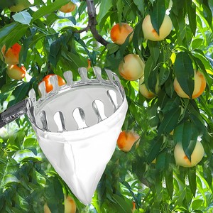 Herramienta para recoger frutas, 13 pies con cesta, mango largo telescópico, ajustable, manzana, naranja, aguacate, Bellota, limón, pera, mango - Product Image 5