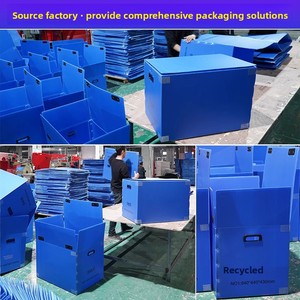 Tùy chỉnh trọng lượng nhẹ cho PP sóng Board hộp lưu trữ tấm nhựa thay thế carton kích cỡ khác nhau màu sắc có sẵn - Product Image 5