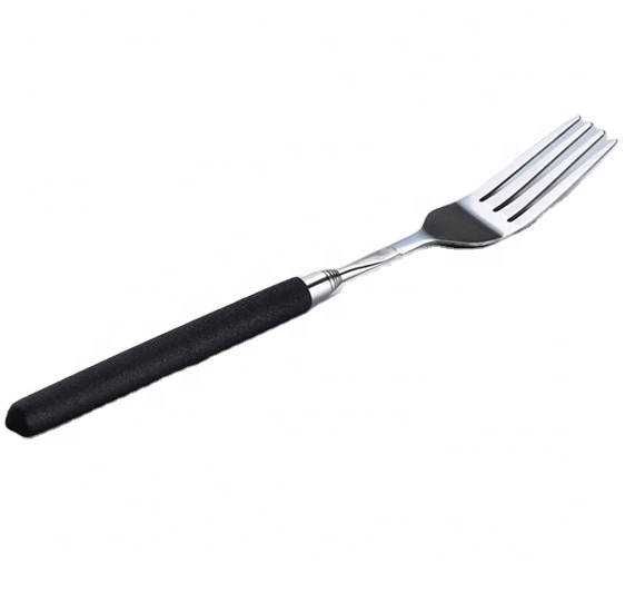 Telescopic Fork