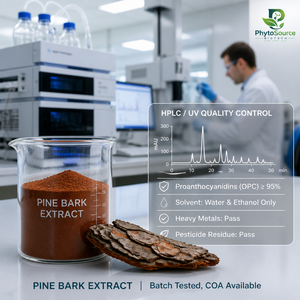 Extrait de Corteil de Pin de Qualité Alimentaire en Vrac - Type Standardisé OPC 95% Ingrédient de Complément Herbal en Bouteille - Product Image 3