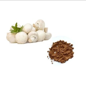 Extracto de <span class=keywords><strong>Agaricus</strong></span> Bisporus en Polvo, 20% Polisacáridos, Ingrediente de Extracto de Champiñón - Product Image 1