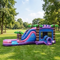 Toboggan gonflable palmier pour vacances d'été, château gonflable commercial
