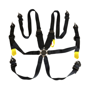 Cinturón de Seguridad Tiypeor de <span class=keywords><strong>6</strong></span> <span class=keywords><strong>Puntos</strong></span> y 3 Pulgadas de Poliéster con Certificación FIA para Carreras - Product Image 3