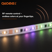 Kit de jardin solaire RVB adressable OEM 12V 5050RGB 300 LED/m IP65 5W avec télécommande, personnalisable, ensemble de 10m