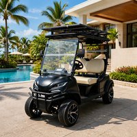 Voiturette de golf électrique 2 places, choix américain, 72V Lithium, avec finition de carrosserie personnalisée et capacité de rangement supplémentaire