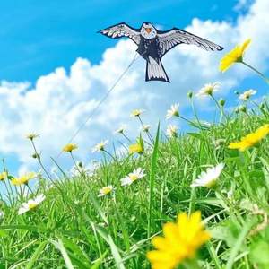 <span class=keywords><strong>Cerf</strong></span>-<span class=keywords><strong>volant</strong></span> de haute qualité pour répulsif à oiseaux en forme d'aigle - Product Image 4