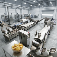 Automatische aardappelchipsmachine met centrifugale ontvettingsunit voor gezondere aardappelchips met een laag oliegehalte