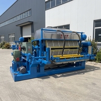 Machine de moulage sur mesure pour la fabrication de barquettes à œufs, à cavités multiples réglables, spécifications ajustables pour diverses demandes d'emballage de produits quotidiens