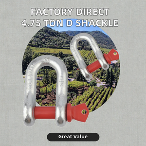 Manilles de levage en acier forgé de type <span class=keywords><strong>D</strong></span> à écrous, haute résistance, pour applications marines et minières, vente en gros - Product Image 2