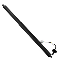 CJ54S402A55AD Personnalisé Installation Facile Smart Auto Support Strut Voiture Automatique Automatique Électrique Power Lift Hayon pour Escape
