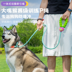 New cross-border pet leash for small and medium-sized dogs with <b>sponge</b> <b>handle</b>, dopamine dog leash manufacturer, in stock. - Product Image 1