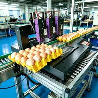 Mesin Penanda Inkjet Portable untuk Baki Telur, Tinta Cepat Kering dan Tidak Beracun, untuk Peternakan Ayam Skala Kecil, India Mumbai, Grosir Baru Pro