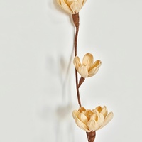 Fleurs en écorce de maïs biodégradables, écologiques, faites à la main, de qualité supérieure, pour la décoration de Pâques et les événements religieux