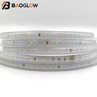 Bande lumineuse LED IP67 220V haute tension, étanche, installation facile, 100m, pour éclairage extérieur, route, jardin, piscine, décorations